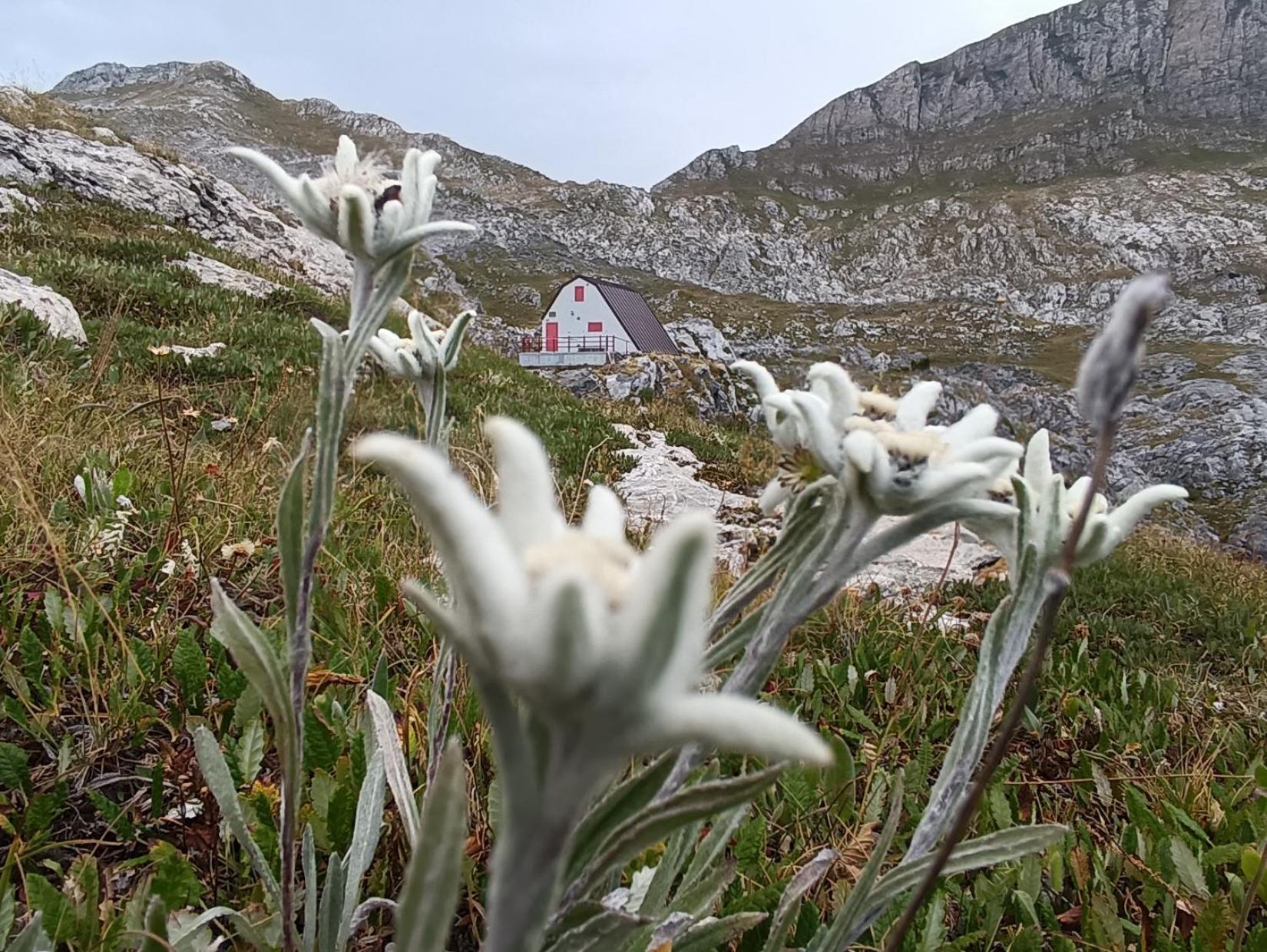 La Ca Et Mec Bed & Breakfast Robilante Bagian luar foto